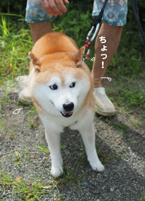 14日夕ブログ６