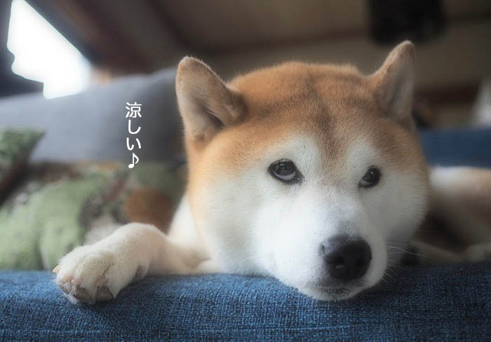 29日夜ブログ２