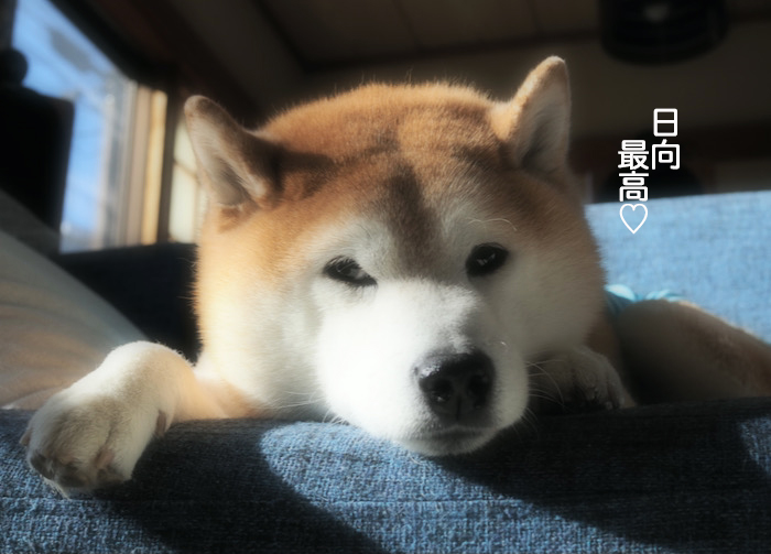 27日ブログ３