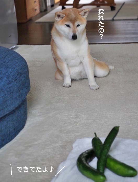 13日ブログ４