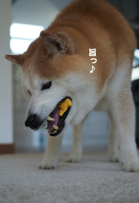 28日夕ブログ２