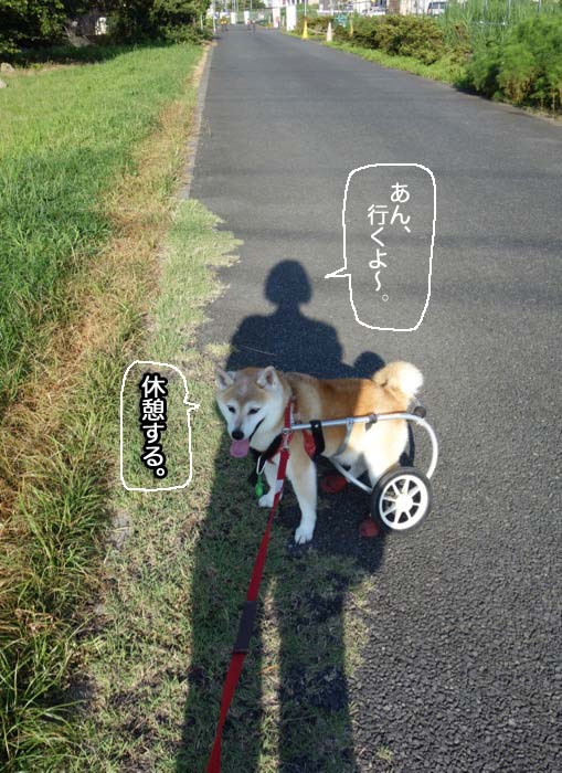 21日ブログ２