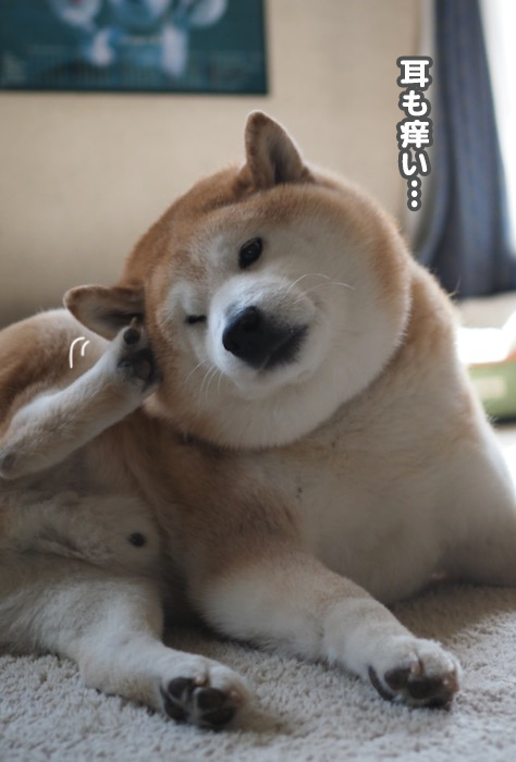 15日ブログ３