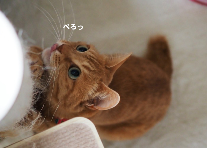 24日午前ブログ２