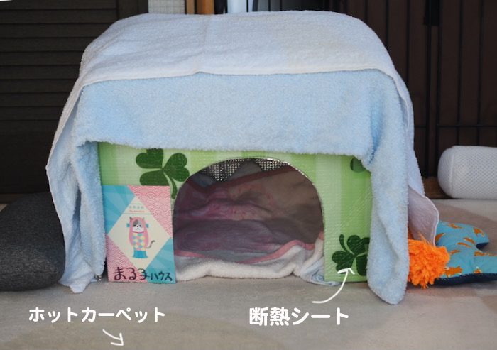 20日夕ブログ３