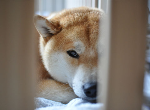 30日ブログ10.jpg