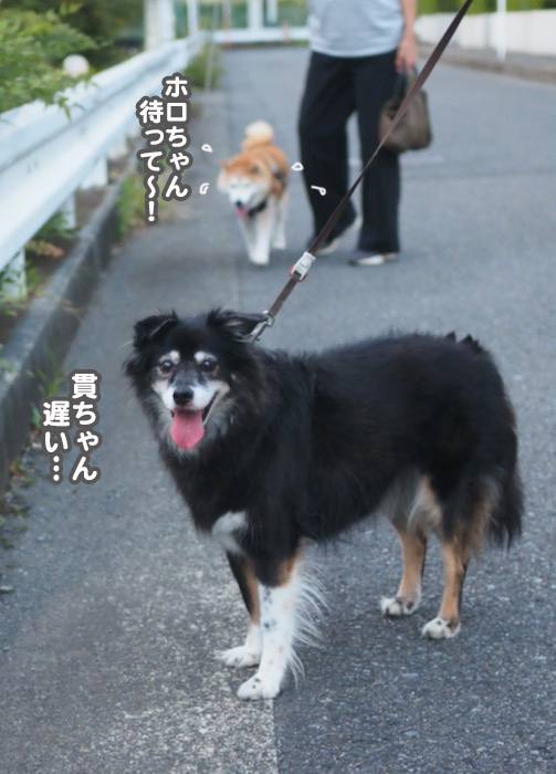 28日夕ブログ４