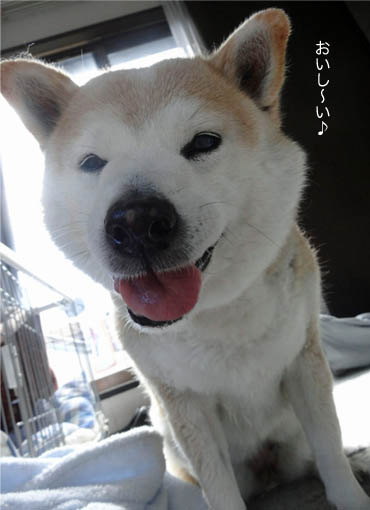 18日ブログ６.jpg
