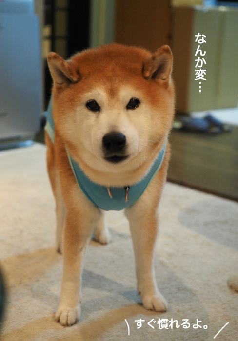10日夜ブログ３