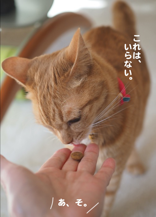 8日ブログ11