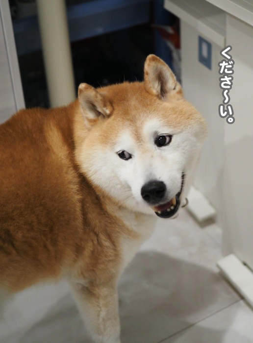 10日夕ブログ６