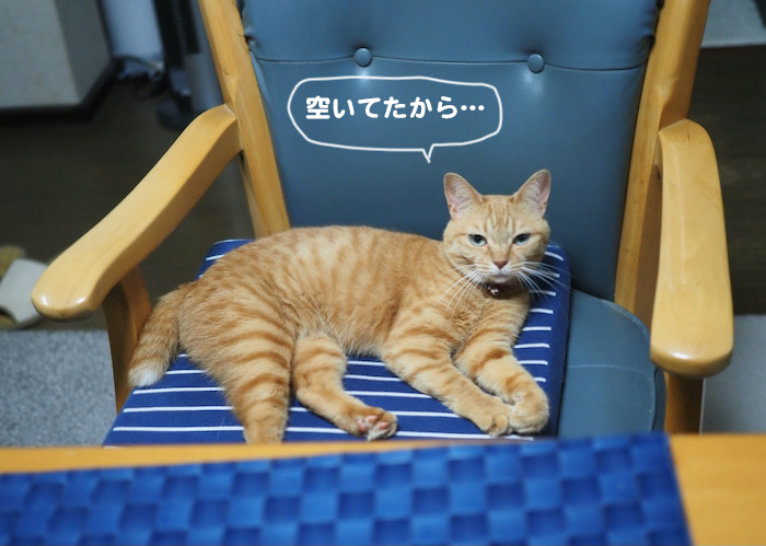 8日ブログ１