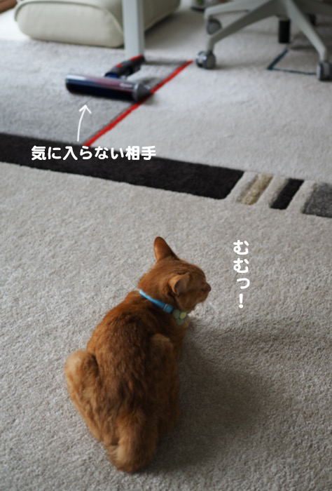 5日ブログ１