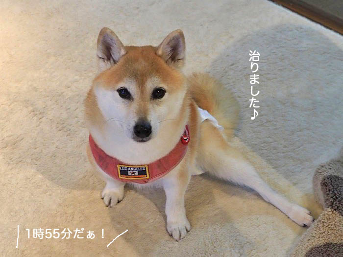 13日夜ブログ３
