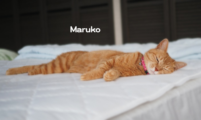 12日夕ブログ５