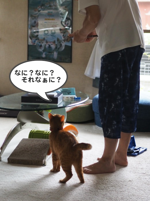 23日夕ブログ２