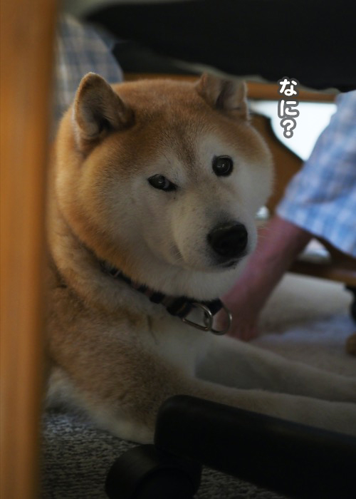 7日ブログ４