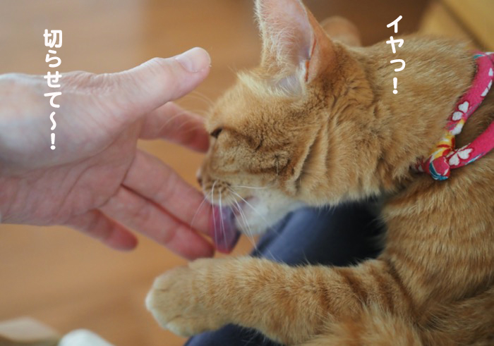 25日夜ブログ６