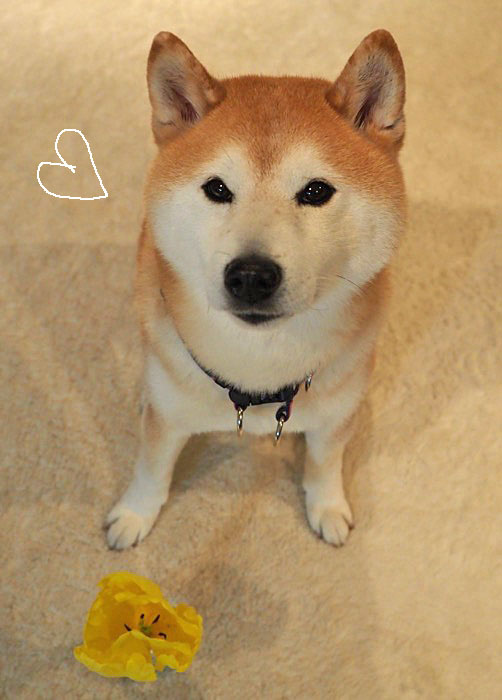 10日夜ブログ３