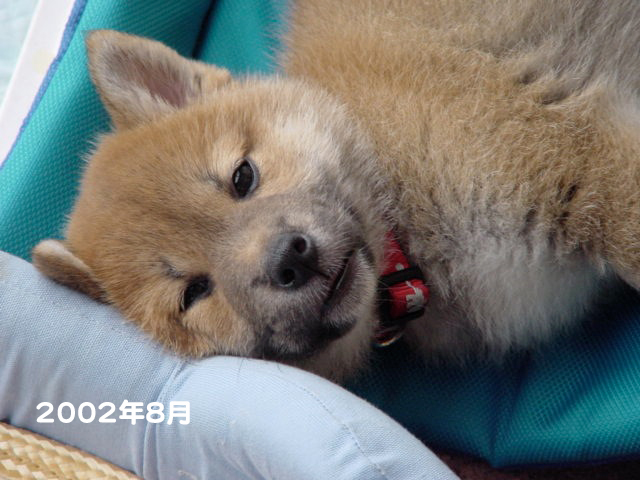 1日夕ブログ９