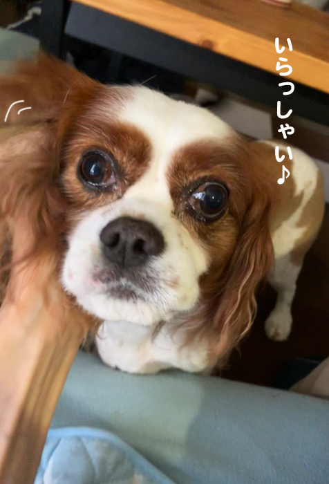 1日夕ブログ３
