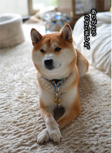 24日ブログ5.jpg