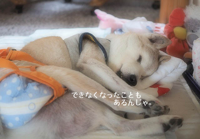 1日ブログ2