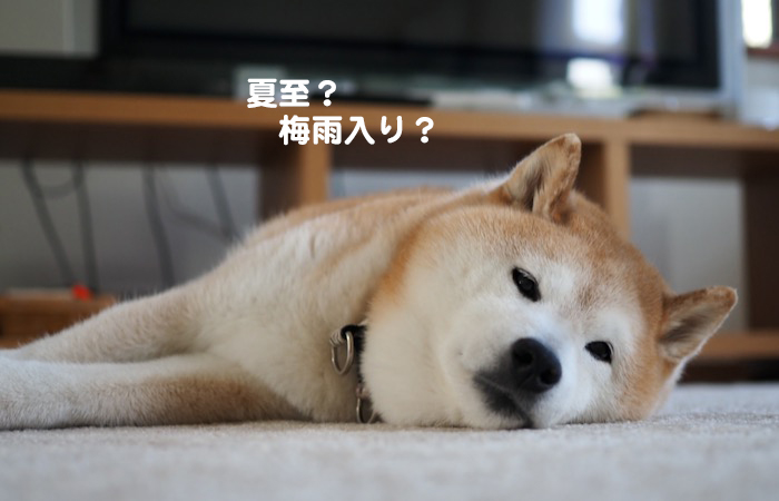 22日夕ブログ２