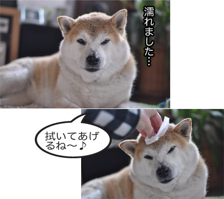 5日ブログ４.jpg