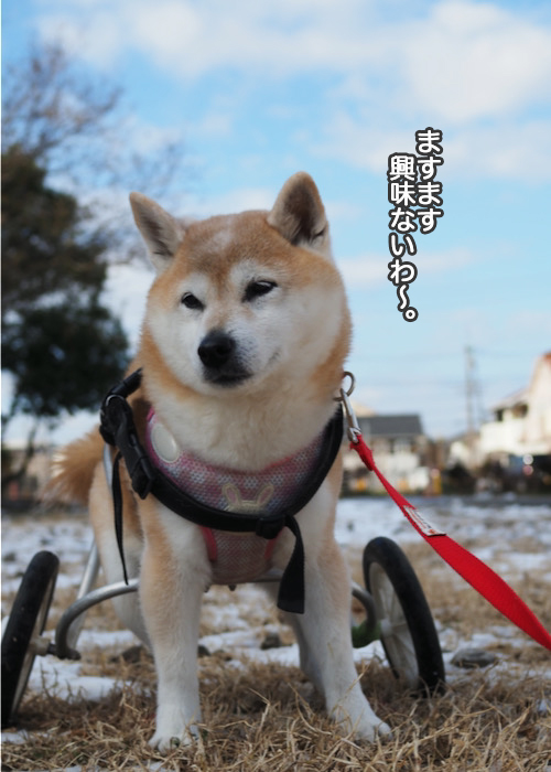 8日夜ブログ６