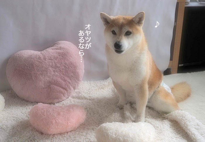 13日夜ブログ３