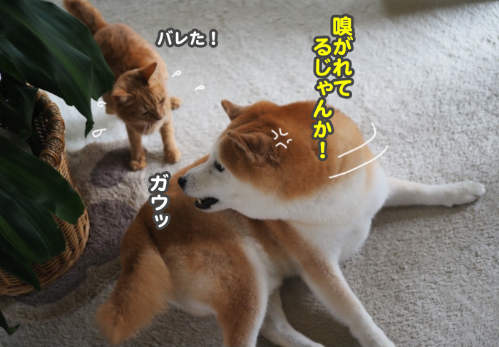 16日夜ブログ８