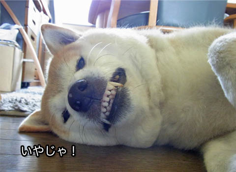 18日ブログ4.jpg