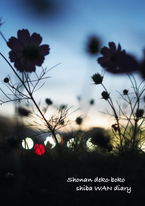 11日夜ブログ１