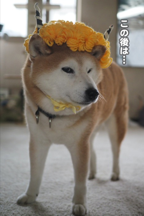 3日ブログ４