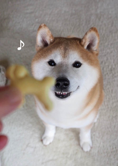27日ブログ１１