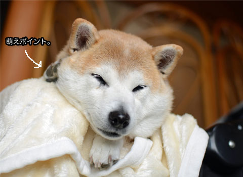 29日ブログ14.jpg