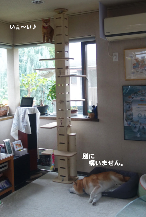 20日ブログ１０