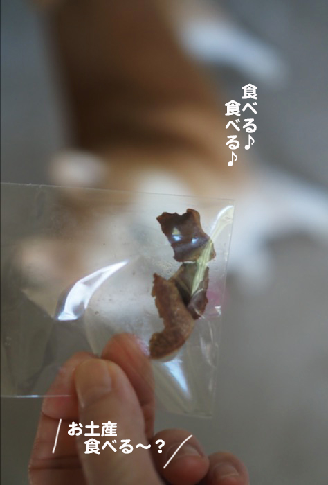 15日夕ブログ2