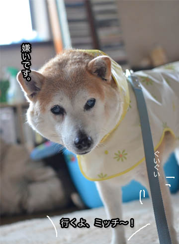 25日ブログ4.jpg
