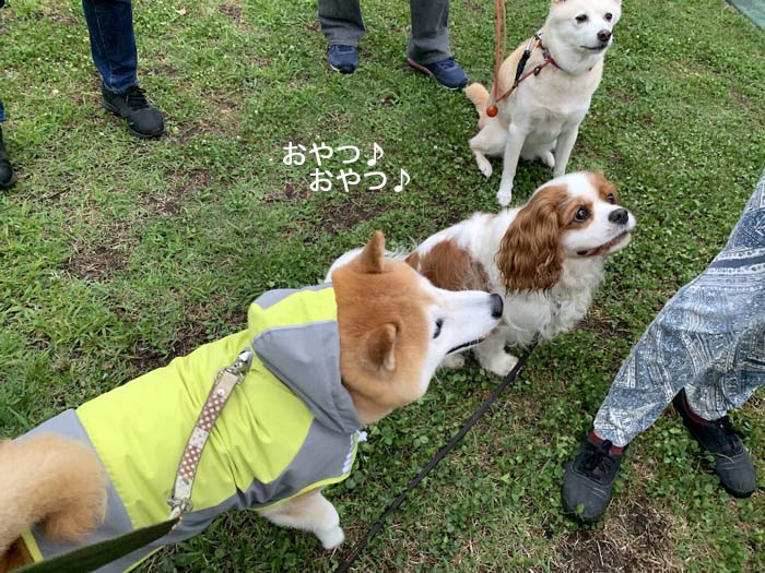 2日夜ブログ２