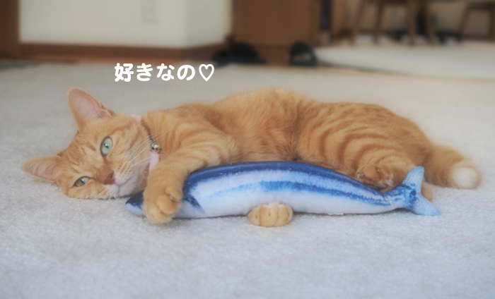 15日ブログ２