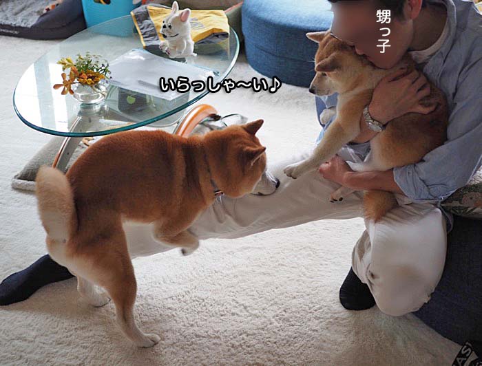 15日ブログ２