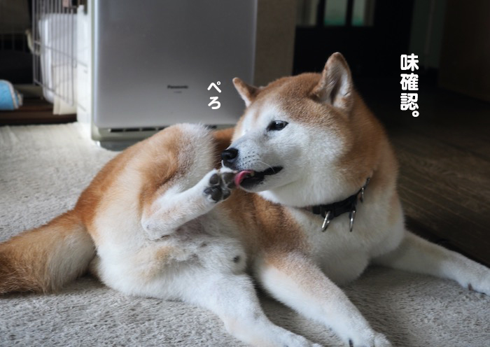 26日ブログ５