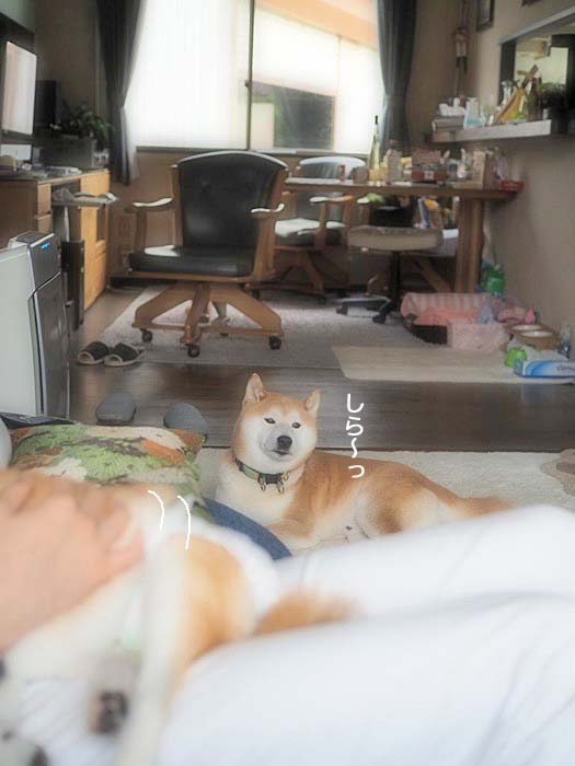 15日ブログ６