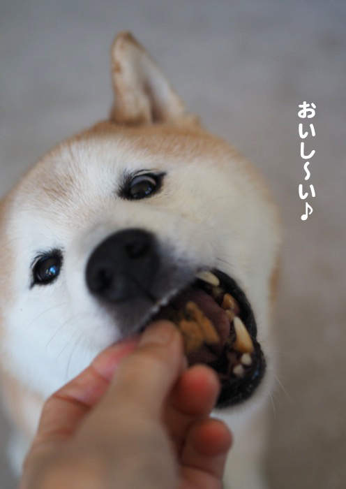 13日夕ブログ７
