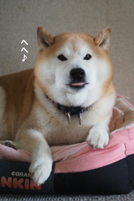10日ブログ６