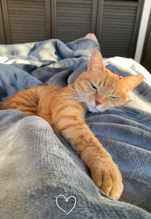 19日夕ブログ５
