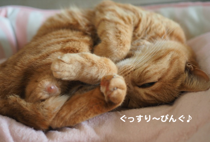 22日夕ブログ３