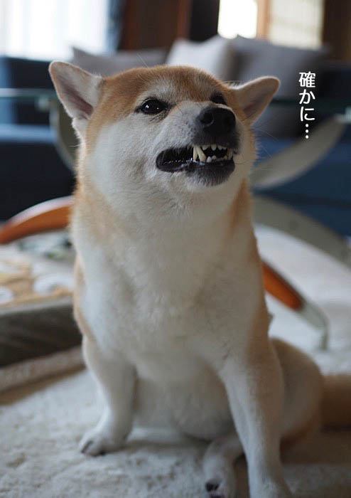 6日ブログ６